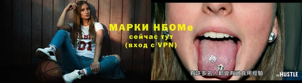 спиды Няндома