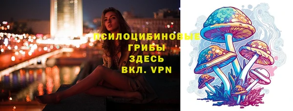 не бодяженный Осинники
